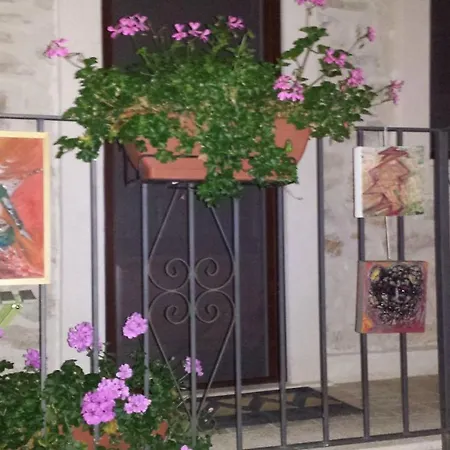 Gospodarstwo agroturystyczne Cashmere *