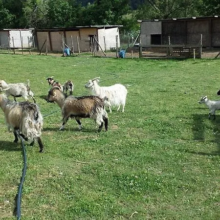 Gospodarstwo agroturystyczne Cashmere Ovindoli