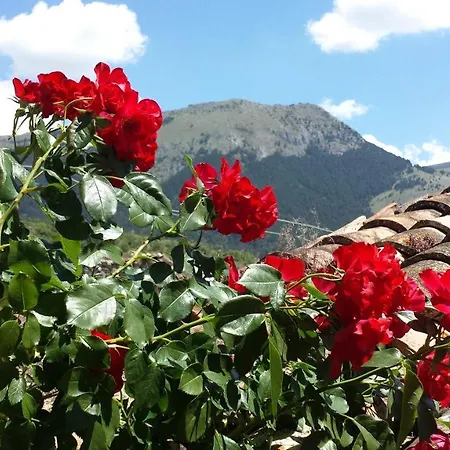 Cashmere Фермерский дом *