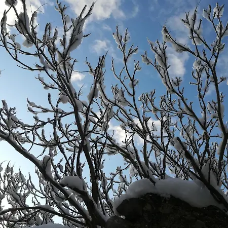 Cashmere Фермерский дом *