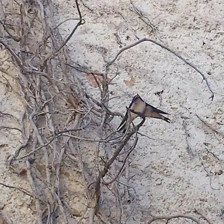 Фермерский дом Cashmere Овиндоли