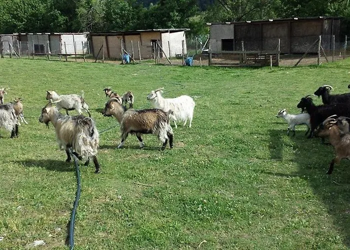 Alojamento de Turismo Rural Cashmere Ovindoli