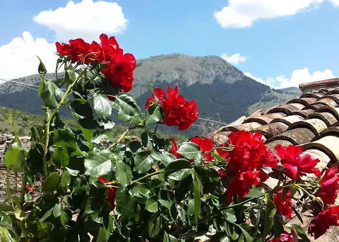 Cashmere Alojamento de Turismo Rural *