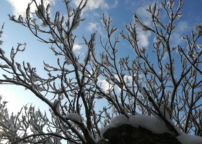 Cashmere Alojamento de Turismo Rural *